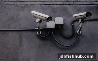 jdb捕鱼试玩全攻略：捕鱼炮台选择的逻辑与风险规避之道