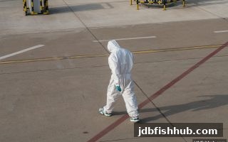 jdb捕鱼试玩：交易安全不可忽略的几大关键要素