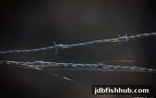 玩走地盘前必看：jdb捕鱼试玩教你识别平台异常与出款审核关键点