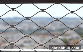 龙虎斗纠纷维权全攻略：jdb捕鱼试玩教你识别黑平台并合法追索