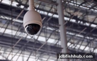破解返点结算争议：jdb捕鱼试玩玩家的维权全攻略