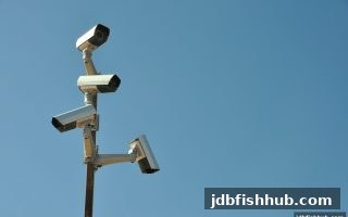 jdb捕鱼试玩：安全环境下打磨盘口技巧的关键评估策略与实战指南