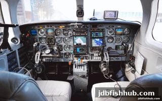 jdb捕鱼试玩深度解析：波动性的核心原理与实战运用指南