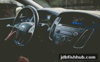 游戏波动性深度拆解：jdb捕鱼试玩如何帮你用数据掌控风险与收益
