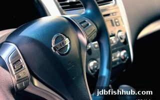 波动性解密：jdb捕鱼试玩如何影响电子游艺的提款策略