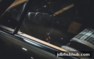 波动性玩法深度解析：jdb捕鱼试玩带你掌握电子游艺与提款策略