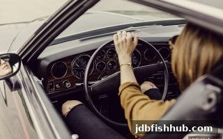 jdb捕鱼试玩揭秘：马耳他牌照如何影响电子游艺返还率与游戏选择