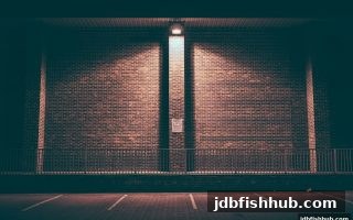 从转轴机制到游戏节奏：jdb捕鱼试玩带你深度解析电子玩法
