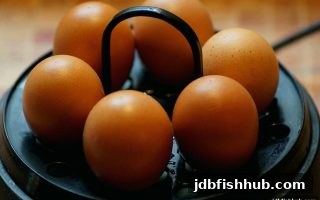 转轴变化深度解析：jdb捕鱼试玩带你揭秘电子游戏核心机制