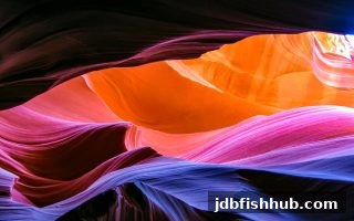 jdb捕鱼试玩解析：特殊符号识别度与提现手续费如何影响玩家体验？