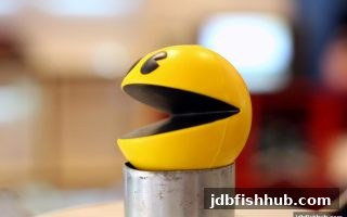新手指南：jdb捕鱼试玩教你解锁电子游戏的娱乐密码与理性玩法