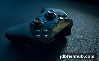 jdb捕鱼试玩视角下的用户需求变革：SG飞艇电子娱乐的新趋势