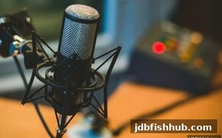 精准预测比特币游戏波胆：JDB捕鱼试玩带你探索数字比分奥秘