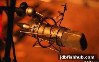 PT真人赛事数据整合平台深度解析：jdb捕鱼试玩视角下的信誉与决策工具