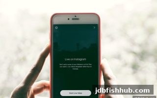 PG老虎机世界杯战队战术深度拆解：从jdb捕鱼试玩看竞技策略