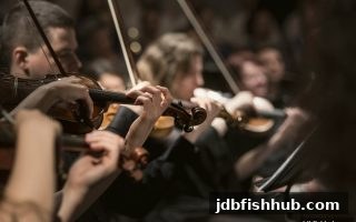 电竞赛事直播平台挑选攻略：jdb捕鱼试玩教你如何选择高质量观赛渠道