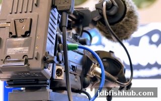 足球技术统计APP全攻略：jdb捕鱼试玩教你用数据看懂比赛
