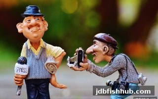 jdb捕鱼试玩：牌九入门与策略进阶，足球即时比分与概率思维的融合之道